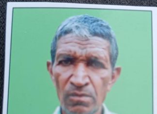 वाघाच्या हल्यात शेतकरी ठार, चंद्रपूर जिल्ह्यातील नागभीड तालुक्यातील मींथुर येथील घटना